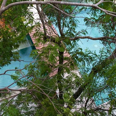 Little Gem Hotel Tulum La Veleta Екстериор снимка