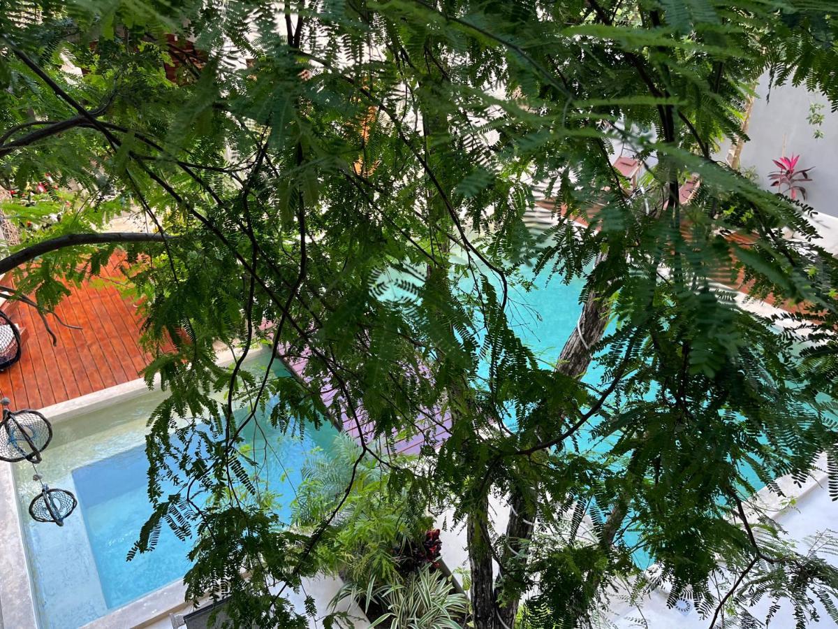 Little Gem Hotel Tulum La Veleta Екстериор снимка